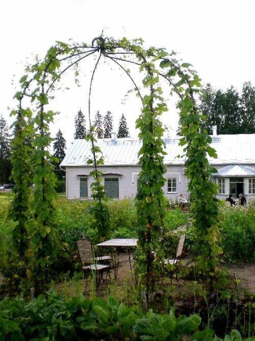 Tertin Kartano Otel Mikkeli Dış mekan fotoğraf